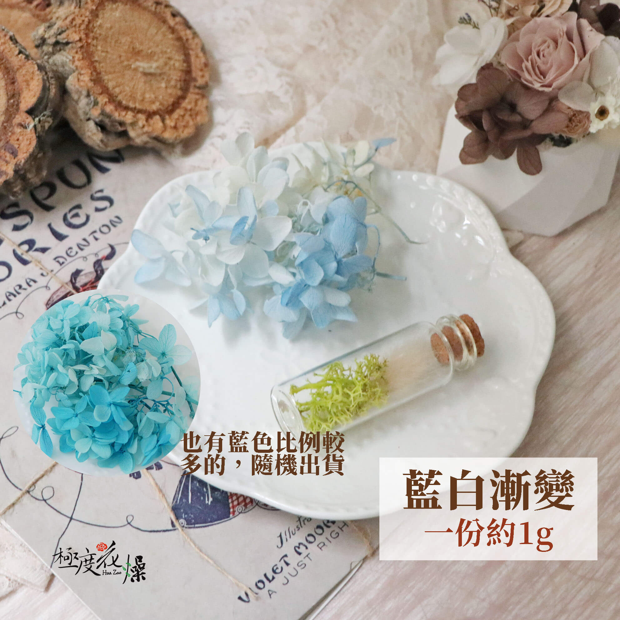 藍白漸變永生繡球花 極度花燥永生繡球花 極度花燥 繡球木繡球不凋花繡球花乾燥花永生花花材木繡球永生繡球 藍白漸變永生繡球花 極度花燥永生繡球花 極度花燥 繡球木繡球不凋花繡球花乾燥花永生花花材木繡球永生繡球