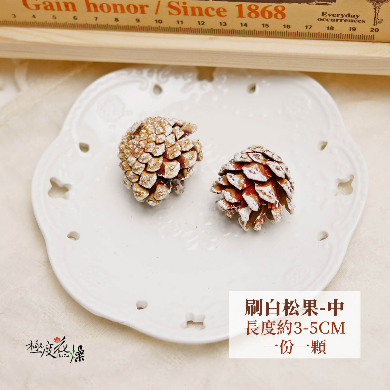 3-5刷白_松果