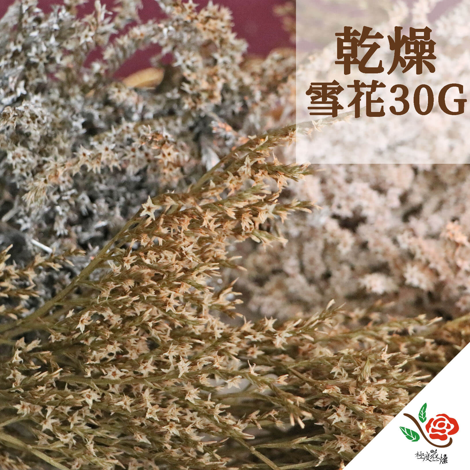 30G封面_雪花