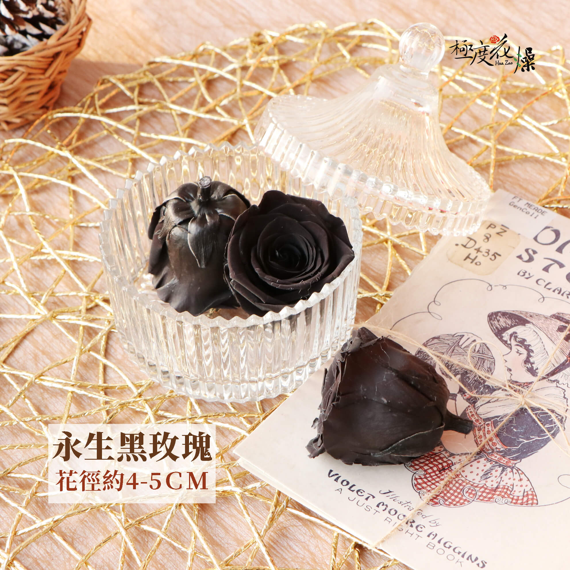 4-5_黑玫瑰