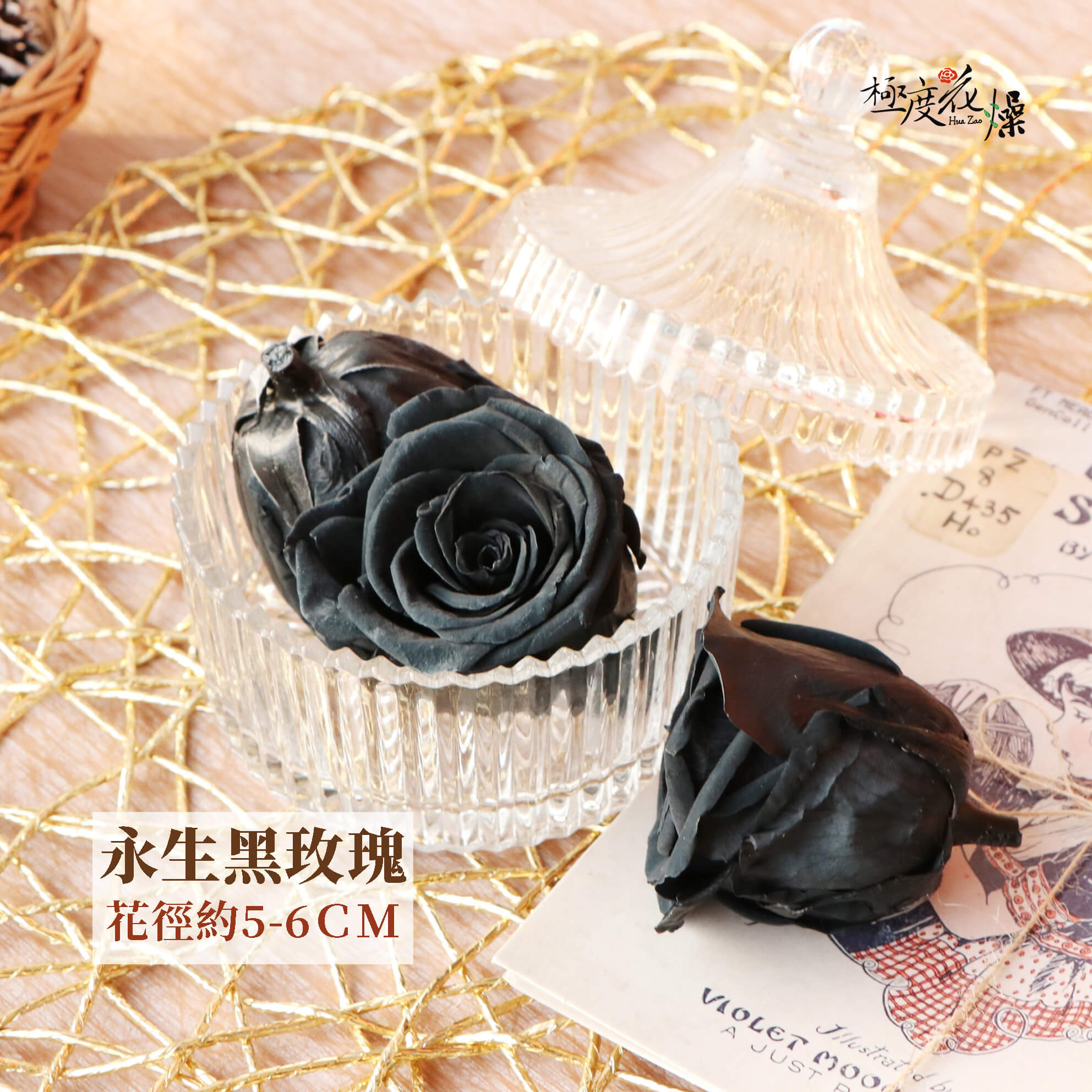 5-6_黑玫瑰