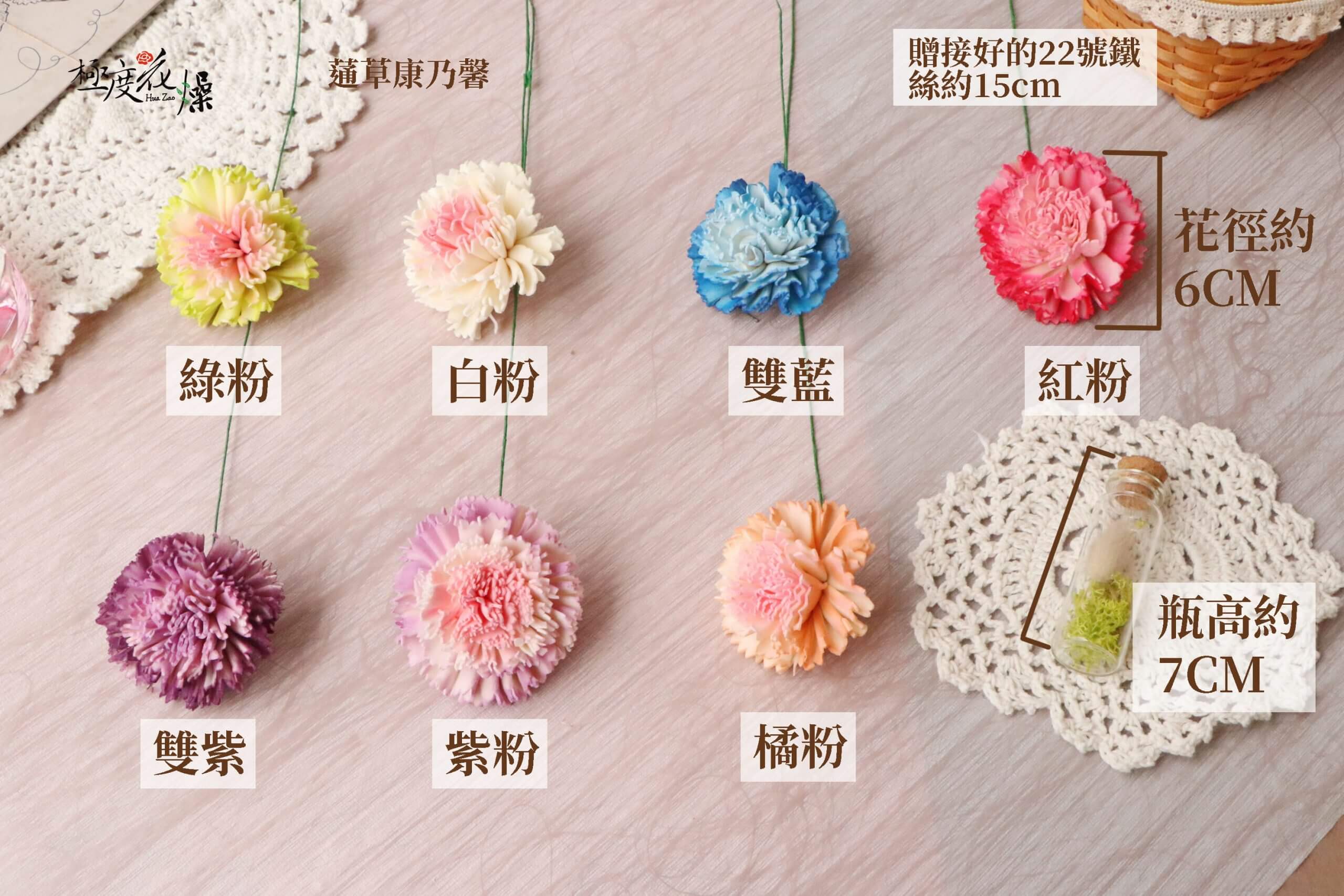 64+ 图片 康乃馨 新的 28 雙色蓪草康乃馨- 極度花燥綜合康乃馨雙色蓪草花實拍圖❧極度花燥❧ 零賣康乃馨索拉花通草花永生花乾燥花不凋花