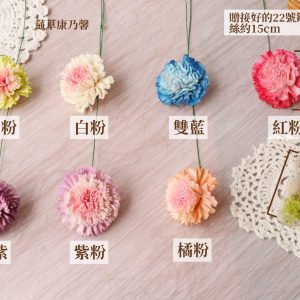 6cm雙色 _蓪草雙色康乃馨