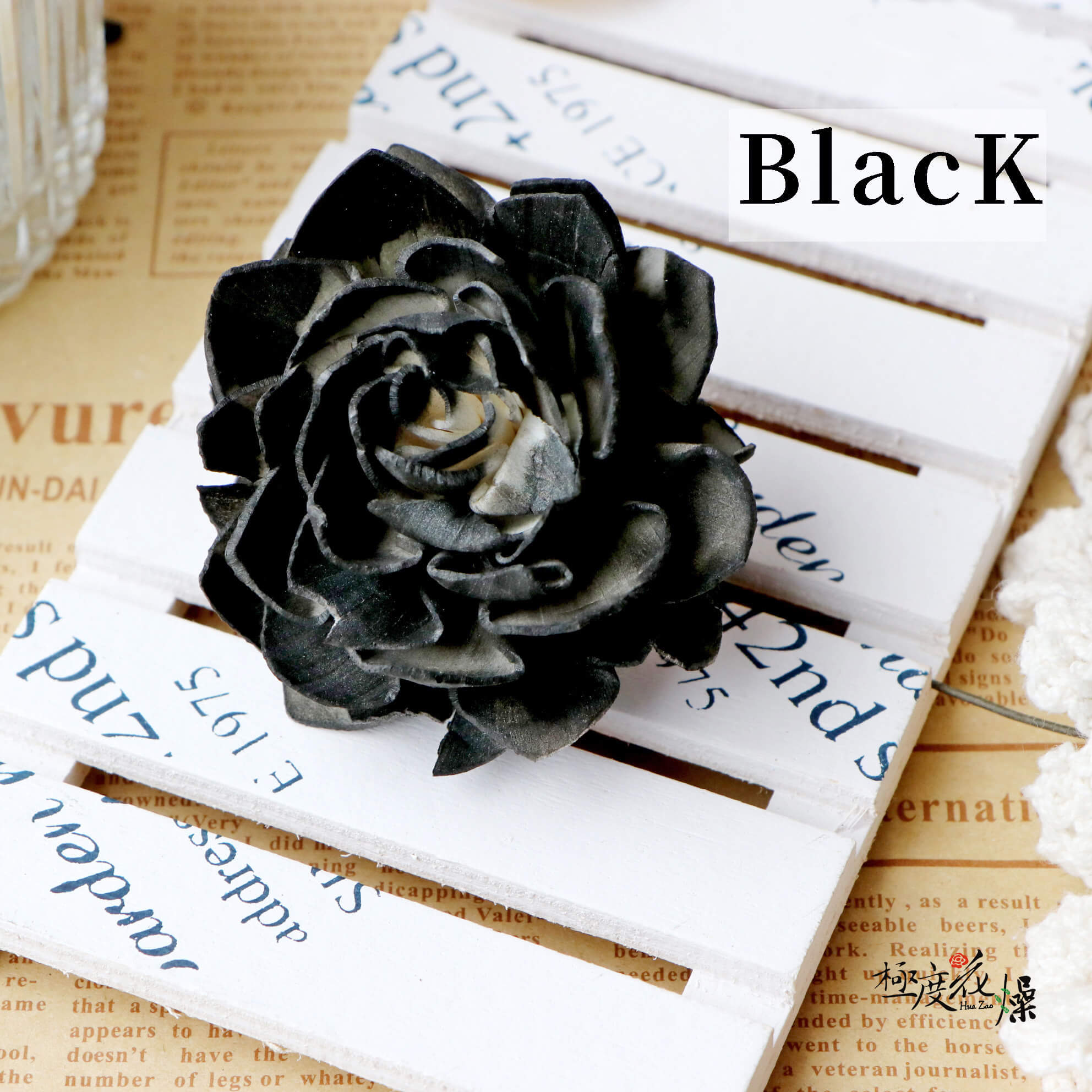 Black_大理花