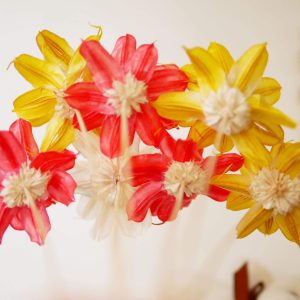 一 _小松花