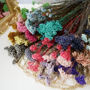 一 _永生米香花