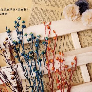 一_臨花