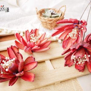 一_令箭荷