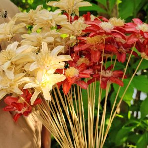 一_小松花