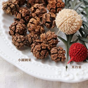 一_足球果 拷貝