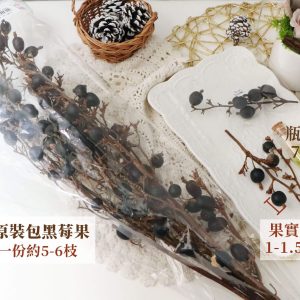一包規格_黑莓果 拷貝