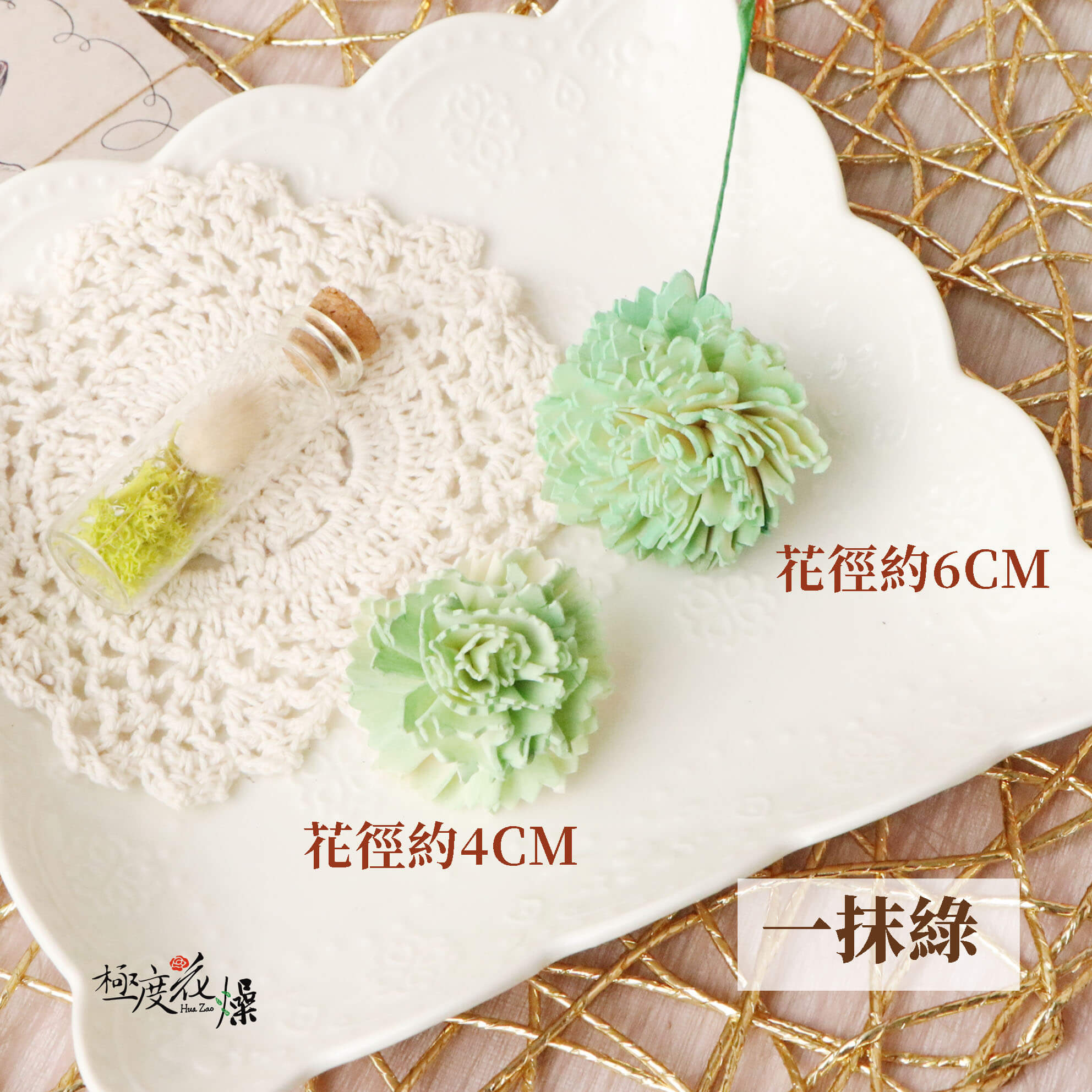 一抹綠 _蓪草雙色康乃馨