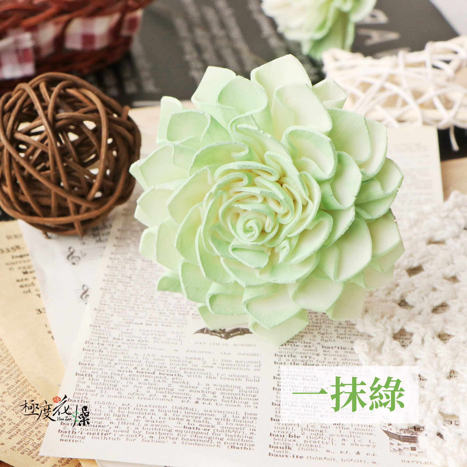 一抹綠_大理花
