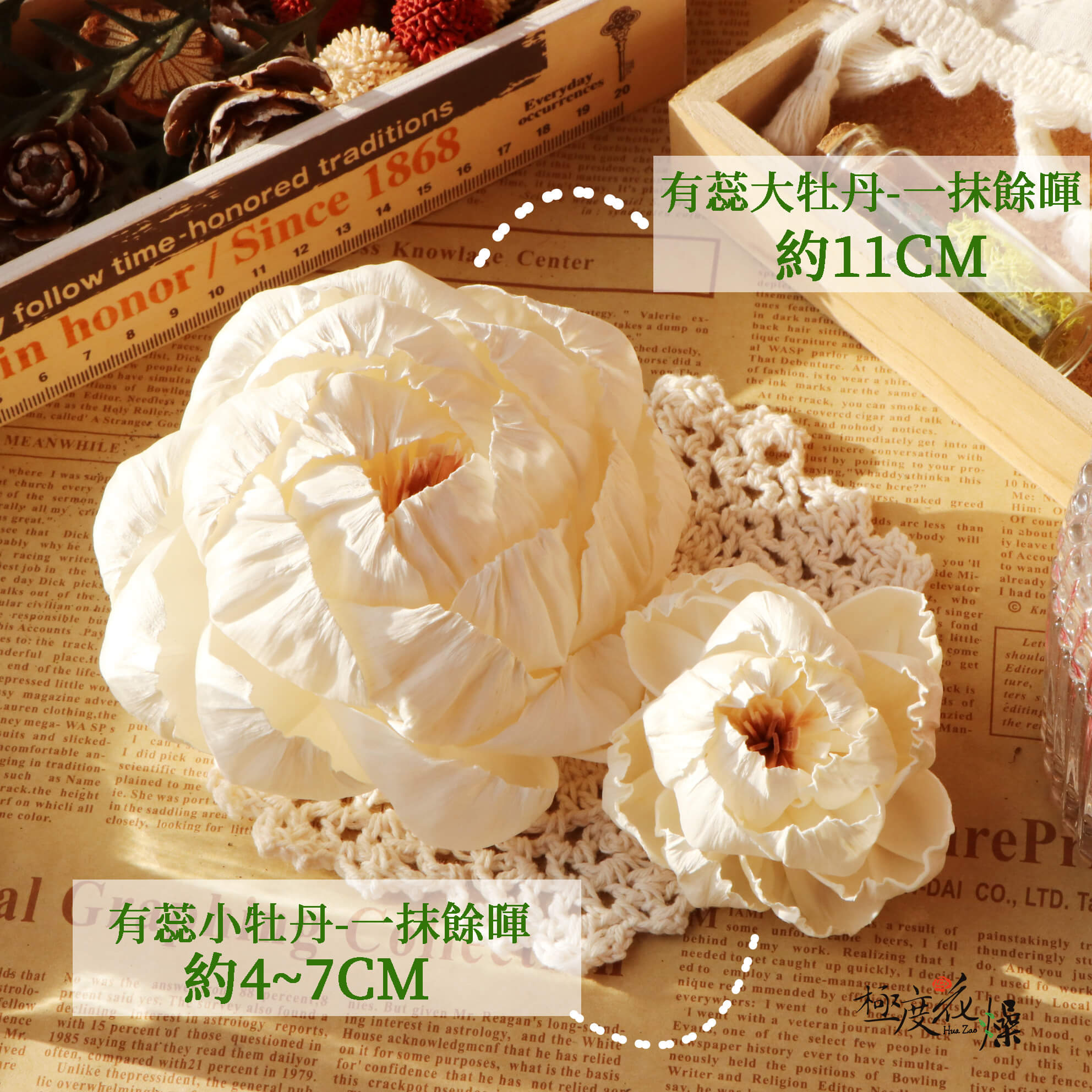 一抹餘暉_牡丹