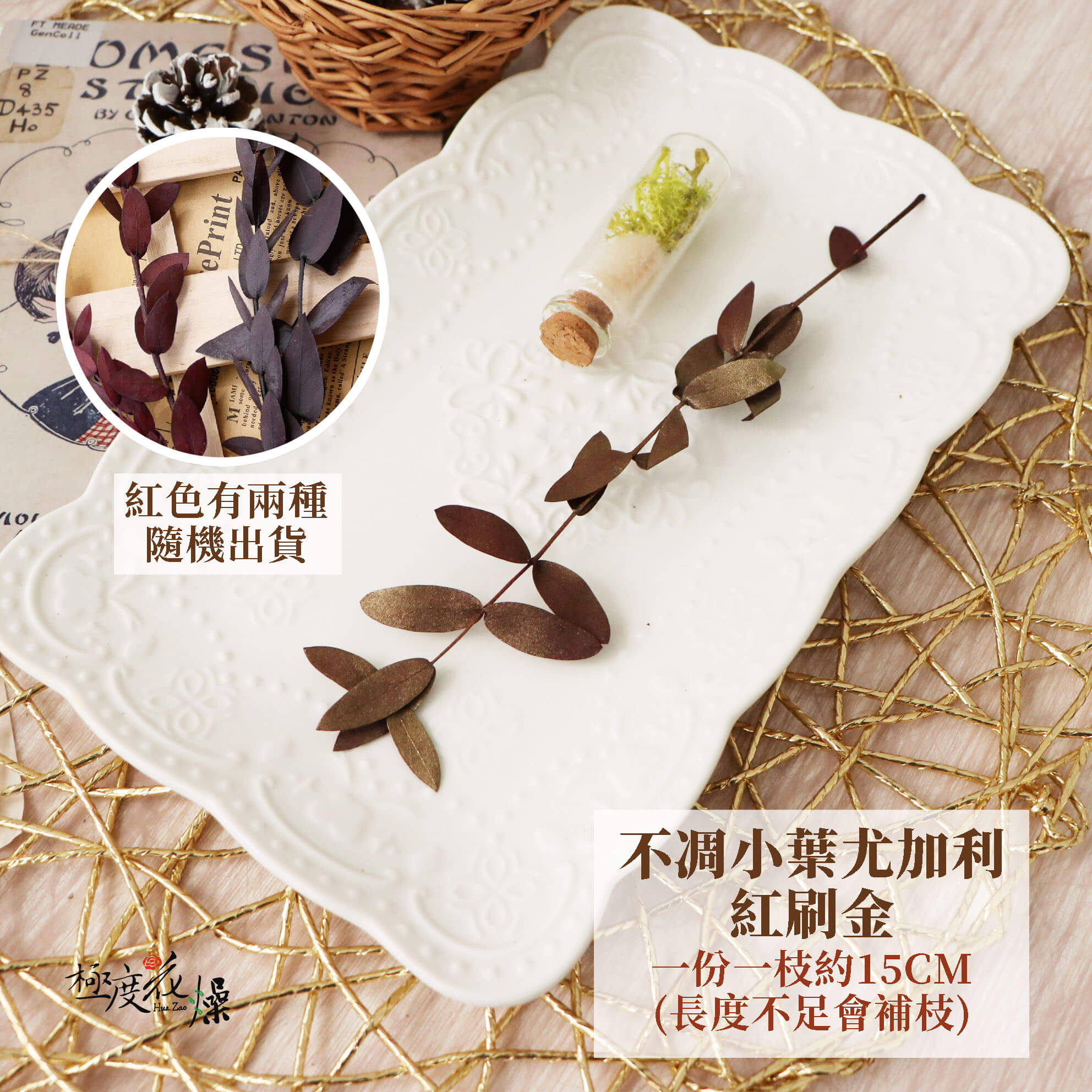 一枝紅刷金_不凋小葉尤加利 拷貝