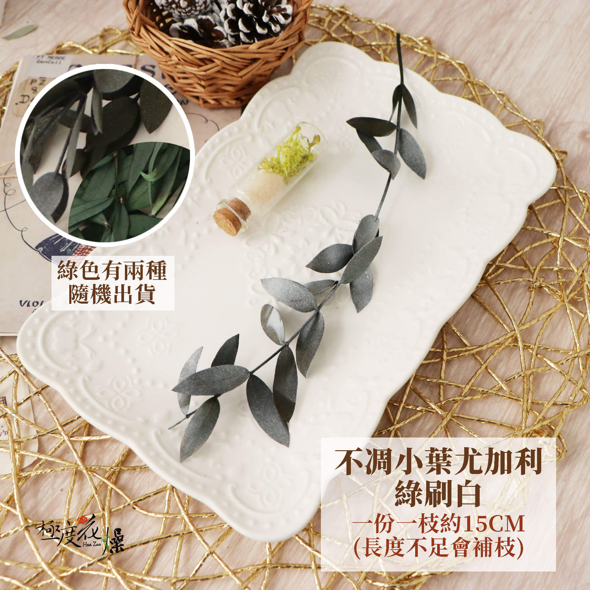 一枝綠刷白_不凋小葉尤加利 拷貝