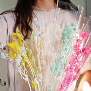 七_永生小紫薊