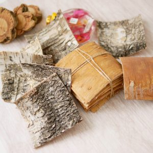 七 _樺木樹皮