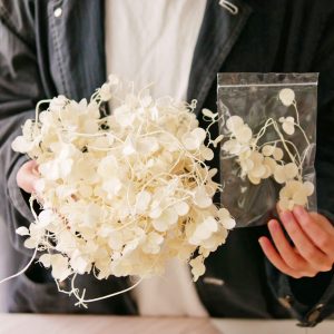 七_迷你山藥 拷貝