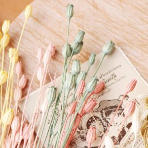 三_風鈴花