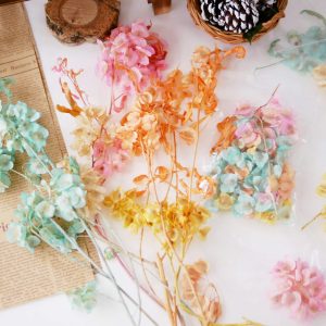 三 _蝴蝶花