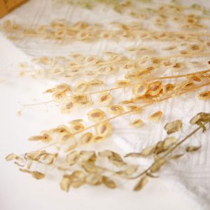 三_永生翠扇 拷貝
