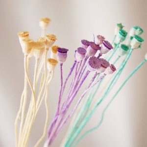 三_永生虞美人 拷貝