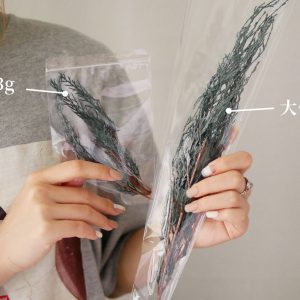 三_藍冰柏 拷貝