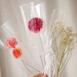 三_透明花袋 拷貝