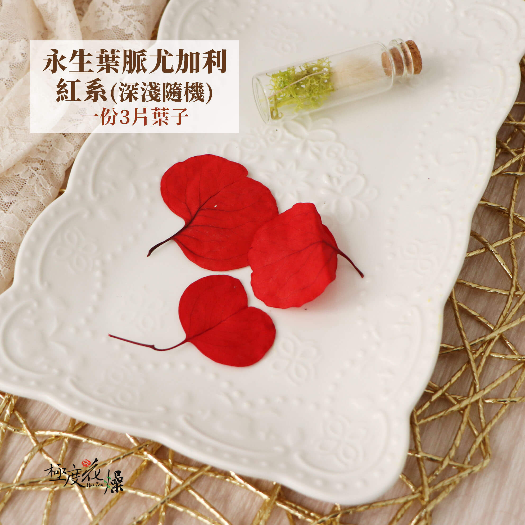 三片紅色 _永生葉脈尤加利
