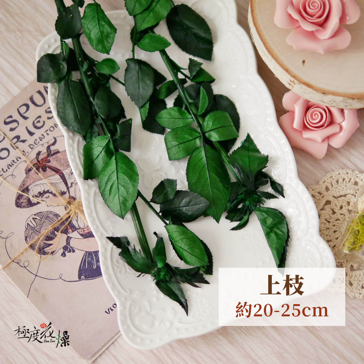 上枝_永生玫瑰莖 拷貝