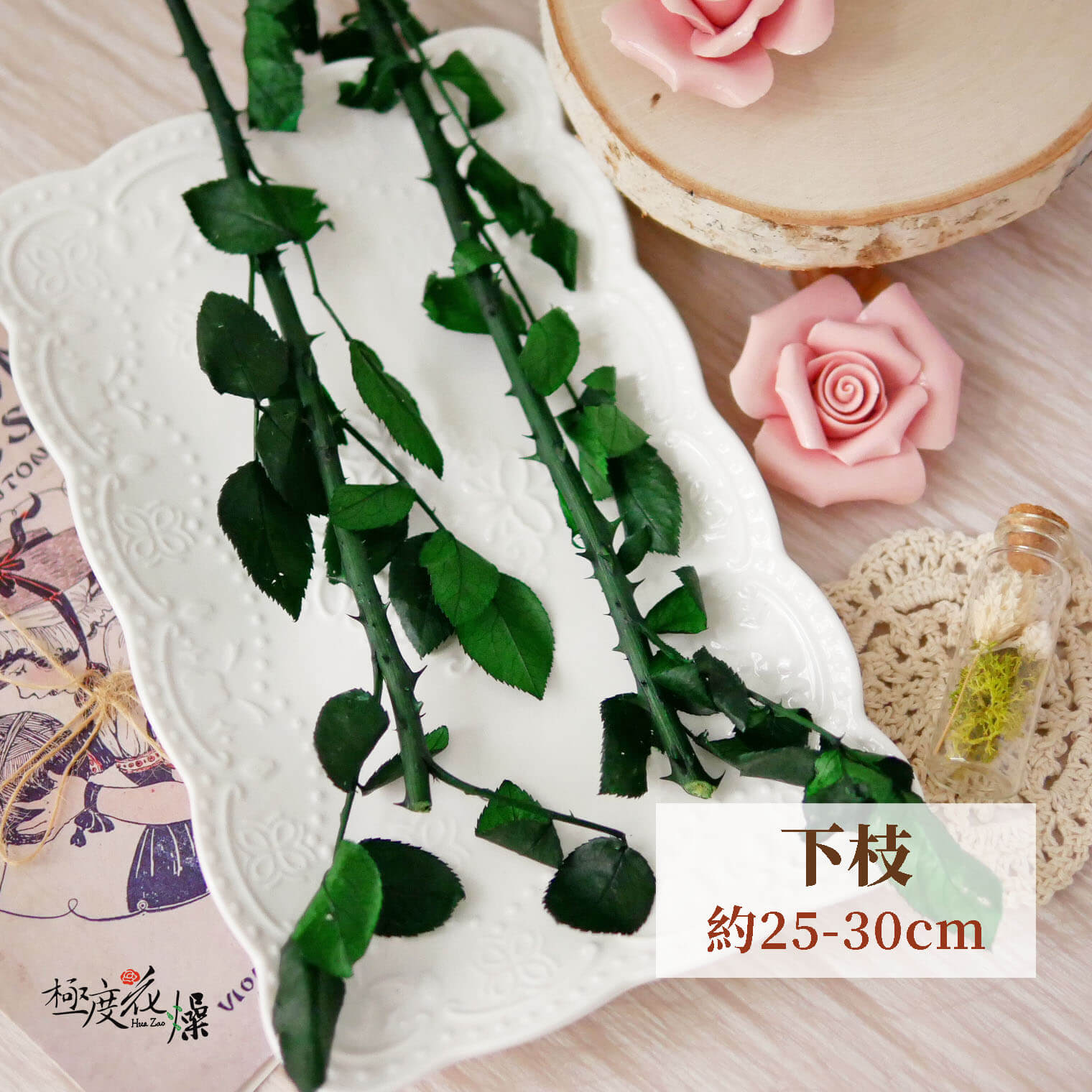 下枝_永生玫瑰莖 拷貝