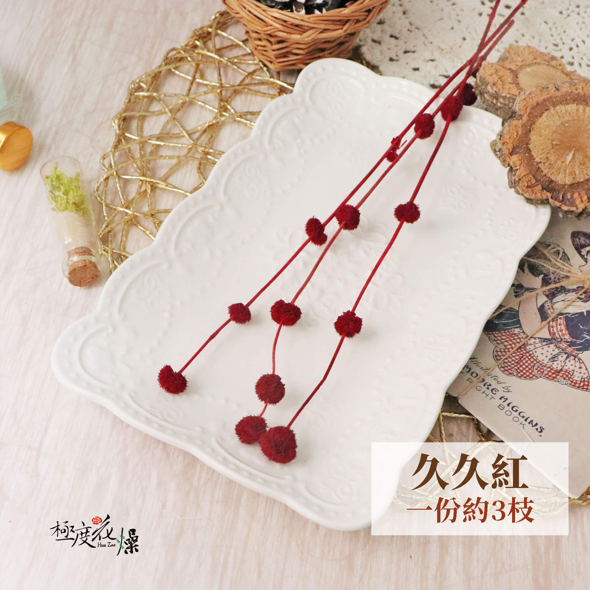 久久紅 _永生小乒乓