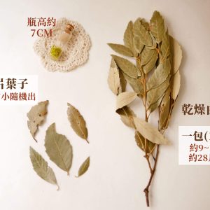 乾燥規格_白栗葉 拷貝