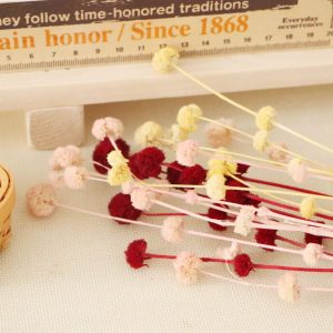 二 _永生小乒乓