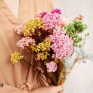 二 _永生米香花