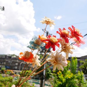 二_小松花