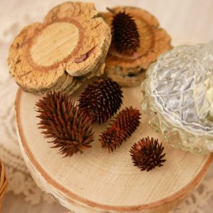 二_桂花果 拷貝