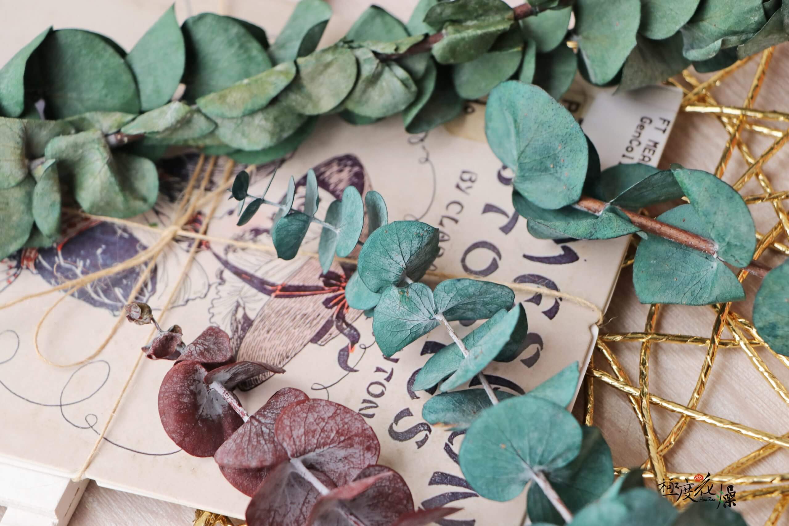 二_永生尤加利立體