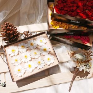 二_百日菊