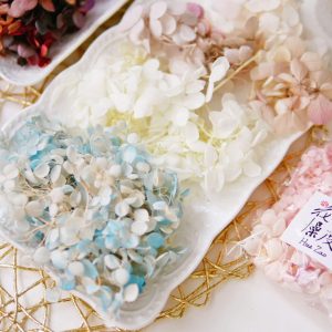 二_綜合繡球 拷貝
