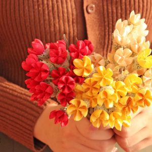 五 _開心果花