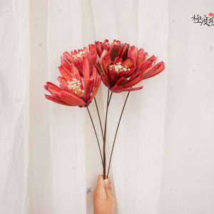 五_令箭荷