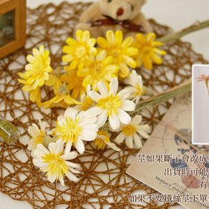 五_小雛菊瓜子花 拷貝