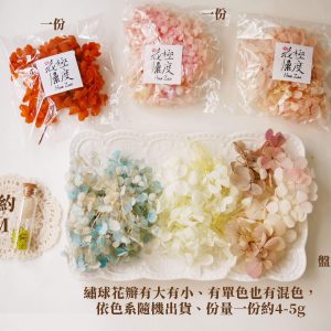 份量圖_綜合繡球 拷貝