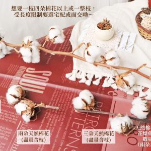 份量說明_棉花 拷貝23