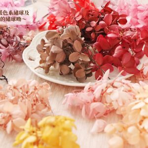 備註_冷色繡球 拷貝
