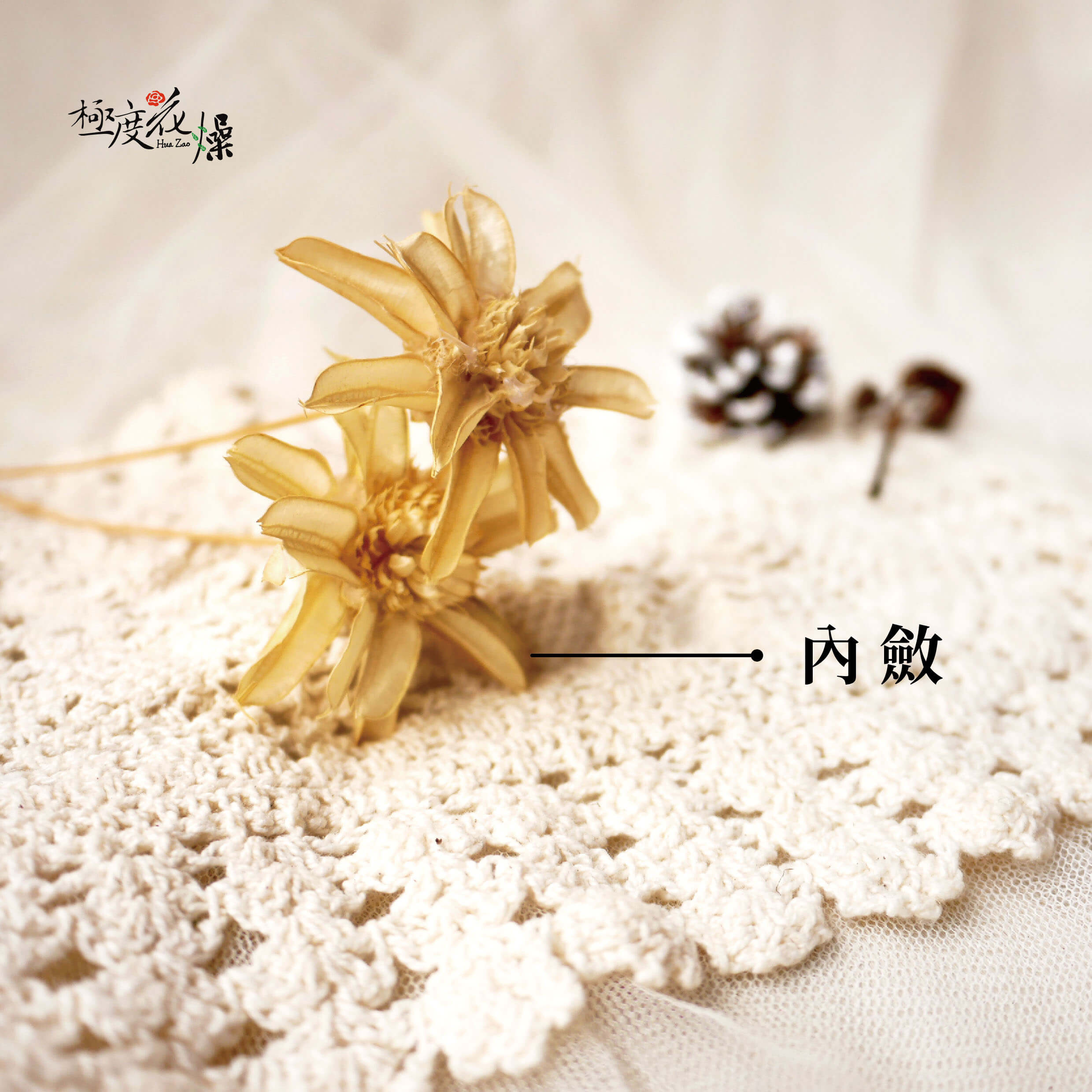 內斂_小松花