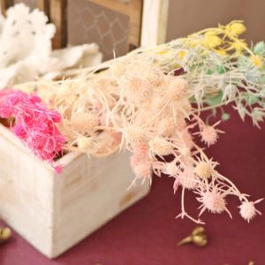 六_永生小紫薊