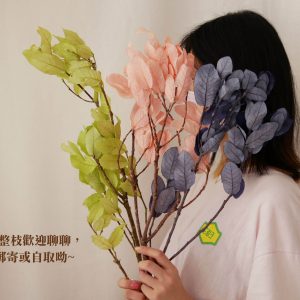 六_栗木葉 拷貝